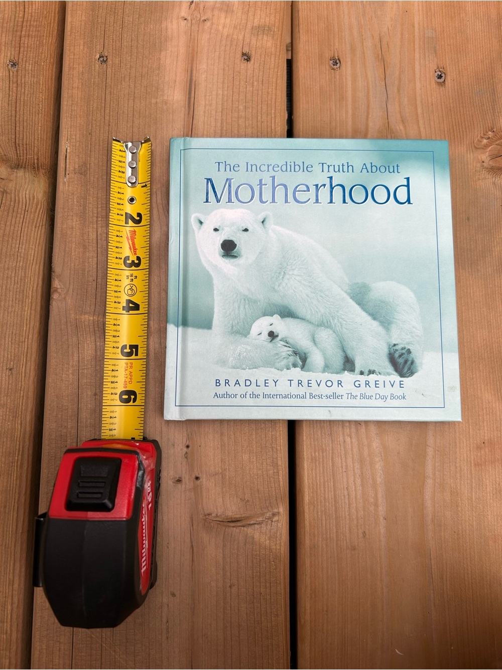 The incredible truth about motherhood book FREE WITH PURCHASE!!